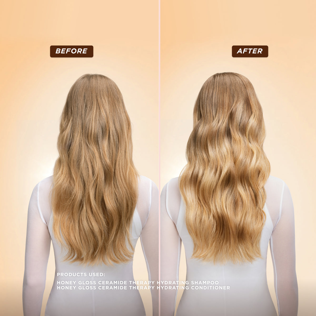 Honey Gloss Ceramide Therapy Hydrating Shampoo