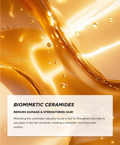 Ingredients - Biomimetic Ceramides
