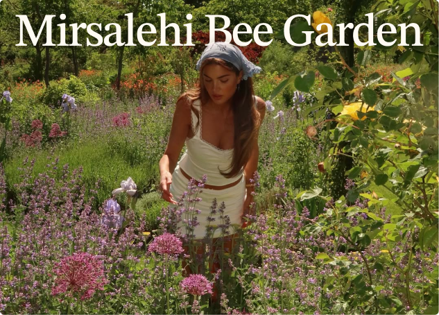 The Mirsalehi Bee Garden: Six Generations of Beekeeping Behind Every Drop of Gisou