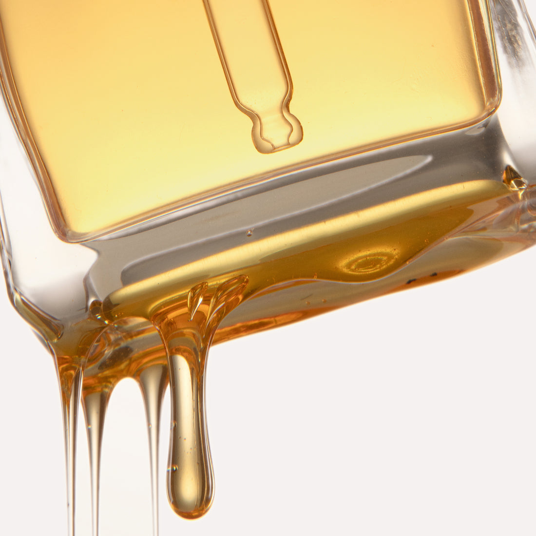 From Bee Garden To Bottle: The Honey Journey