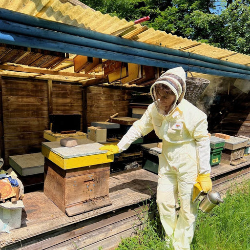 Beepeeking avec Negar Mirsalehi : mise à jour de la saison des abeilles d'août