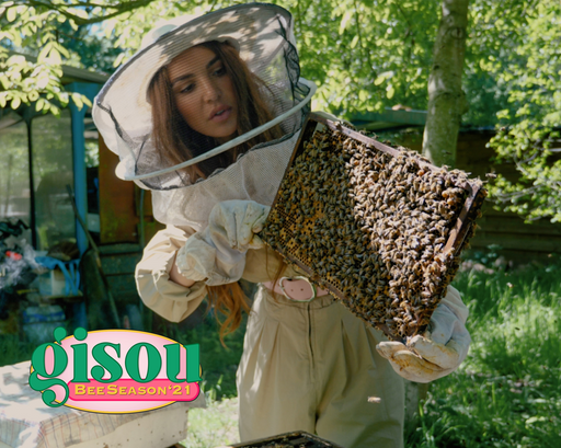Gisou Bee Season '21