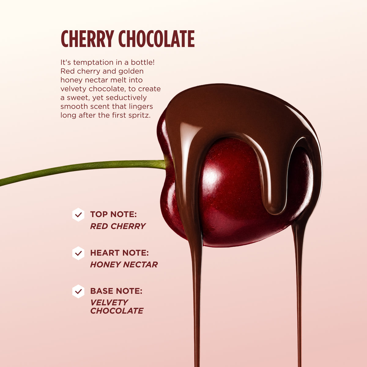 A cherry dipped in dripping dark chocolate, promoting the Gisou Cherry Chocolate Collection.