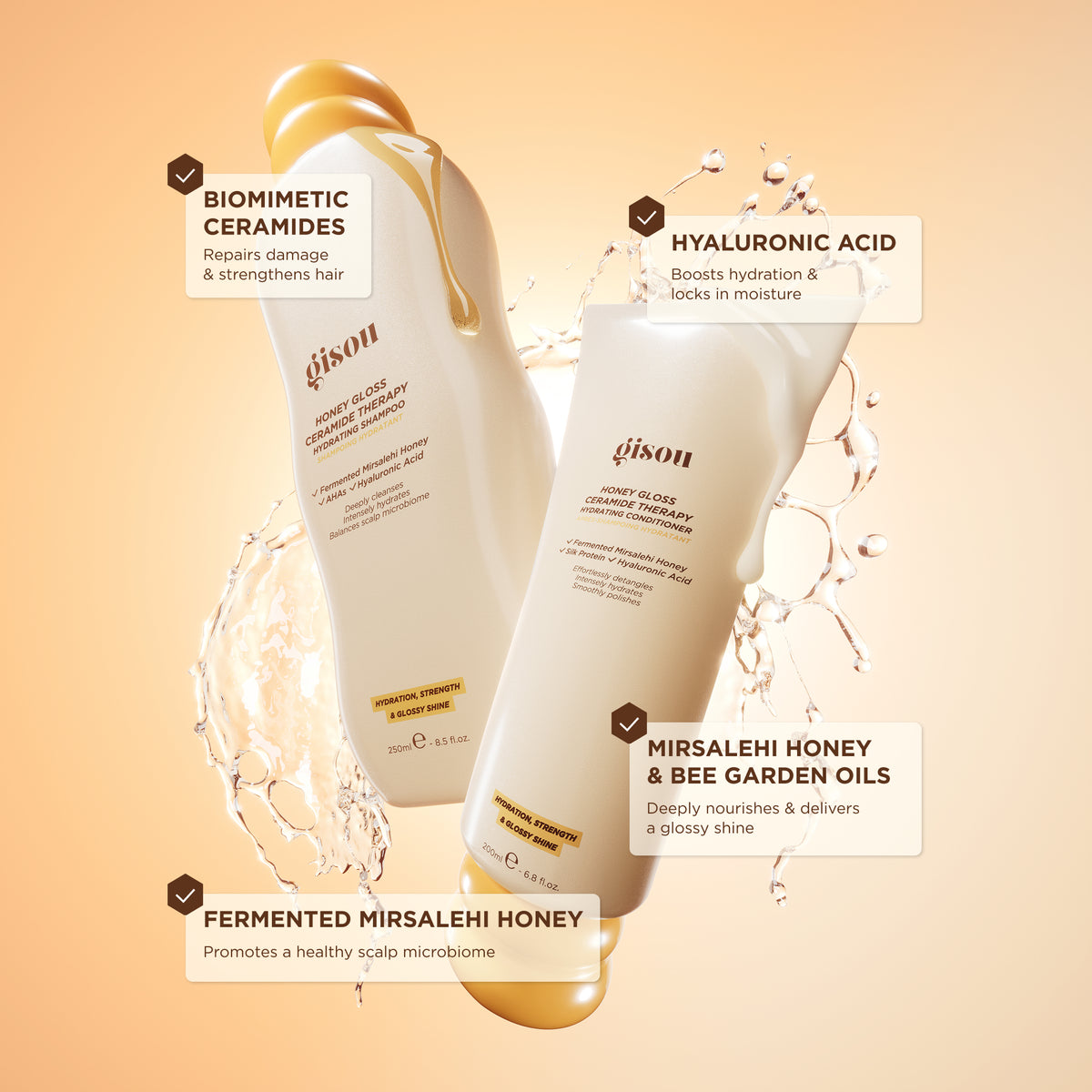 Honey Gloss Hair Wash Duo