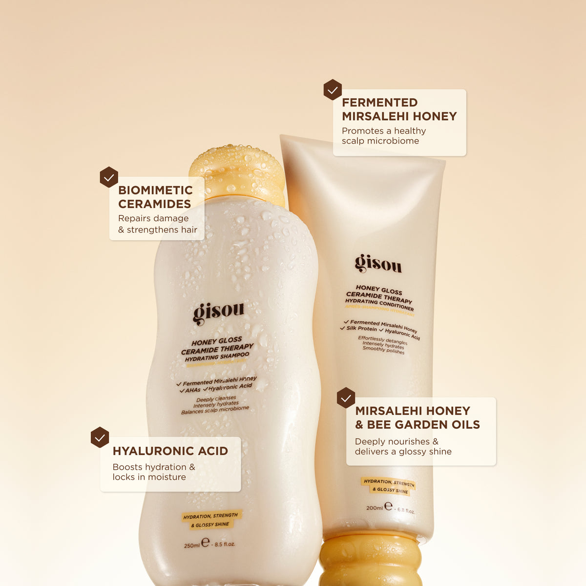 Honey Gloss Hair Wash Trio