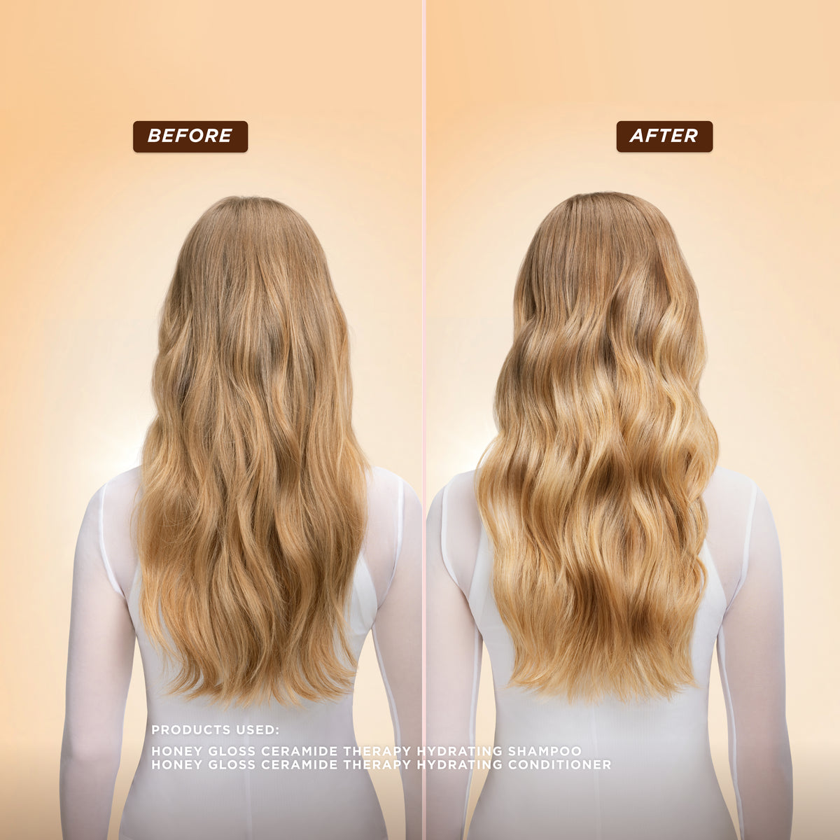 Gloss & Go Styling Kit