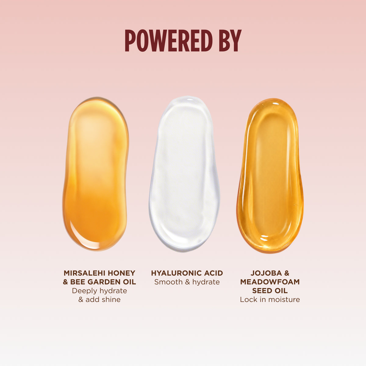 Three ingredient drops — Mirsalehi honey, hyaluronic acid and jojoba seed oil — listing what powers the Cherry Chocolate Lip Oil.