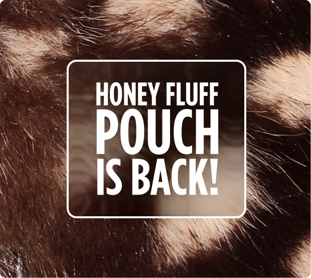 Honey Fluff Pouch is back! on fawn-print faux fur