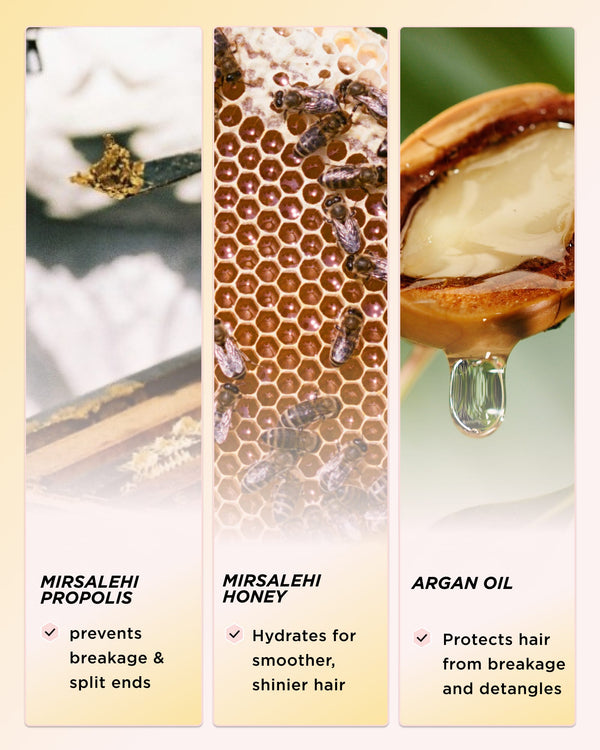 An infographic showing key ingredients 