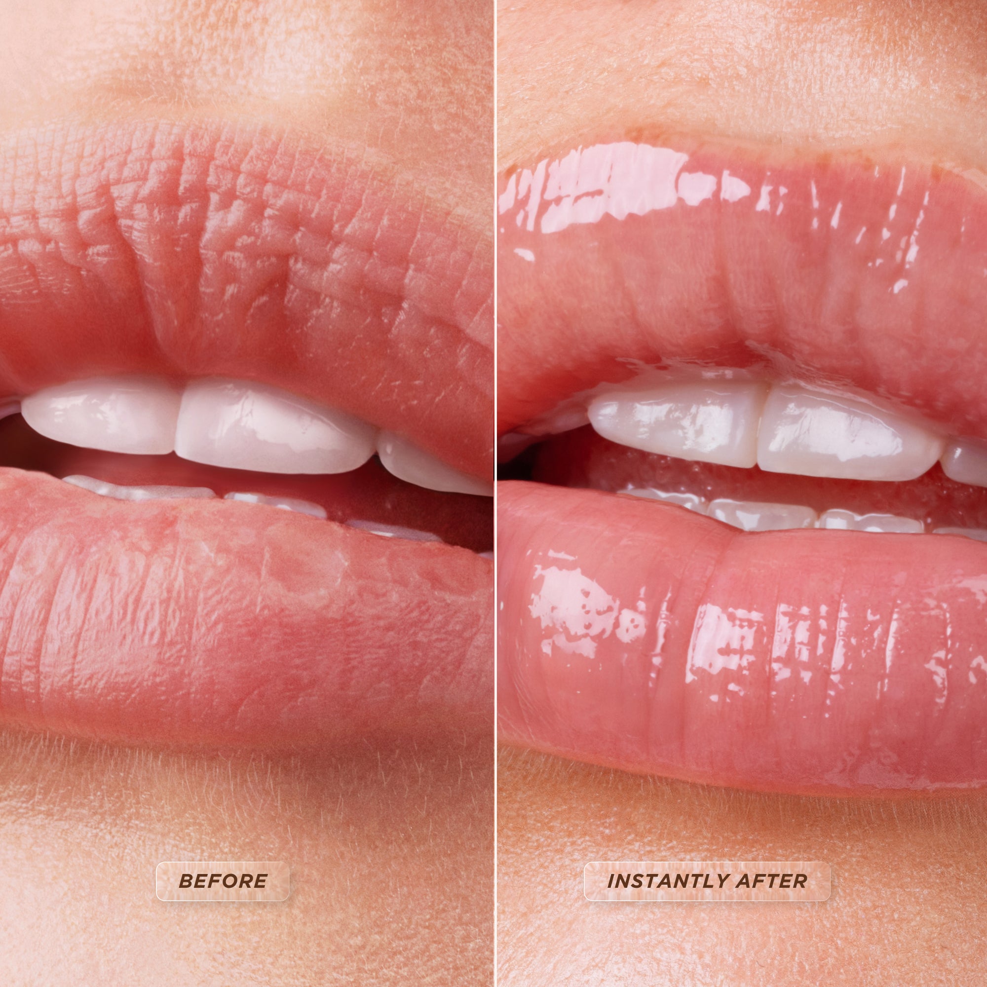 Hair & Lip Therapy Duo – Gisou EU