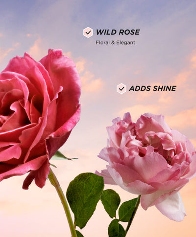Hair Perfume 50ml + Mini - Wild Rose - Benefits 3