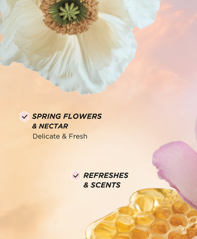 Hair Perfume 50ml + Mini - Wildflower Honey - Benefits 1