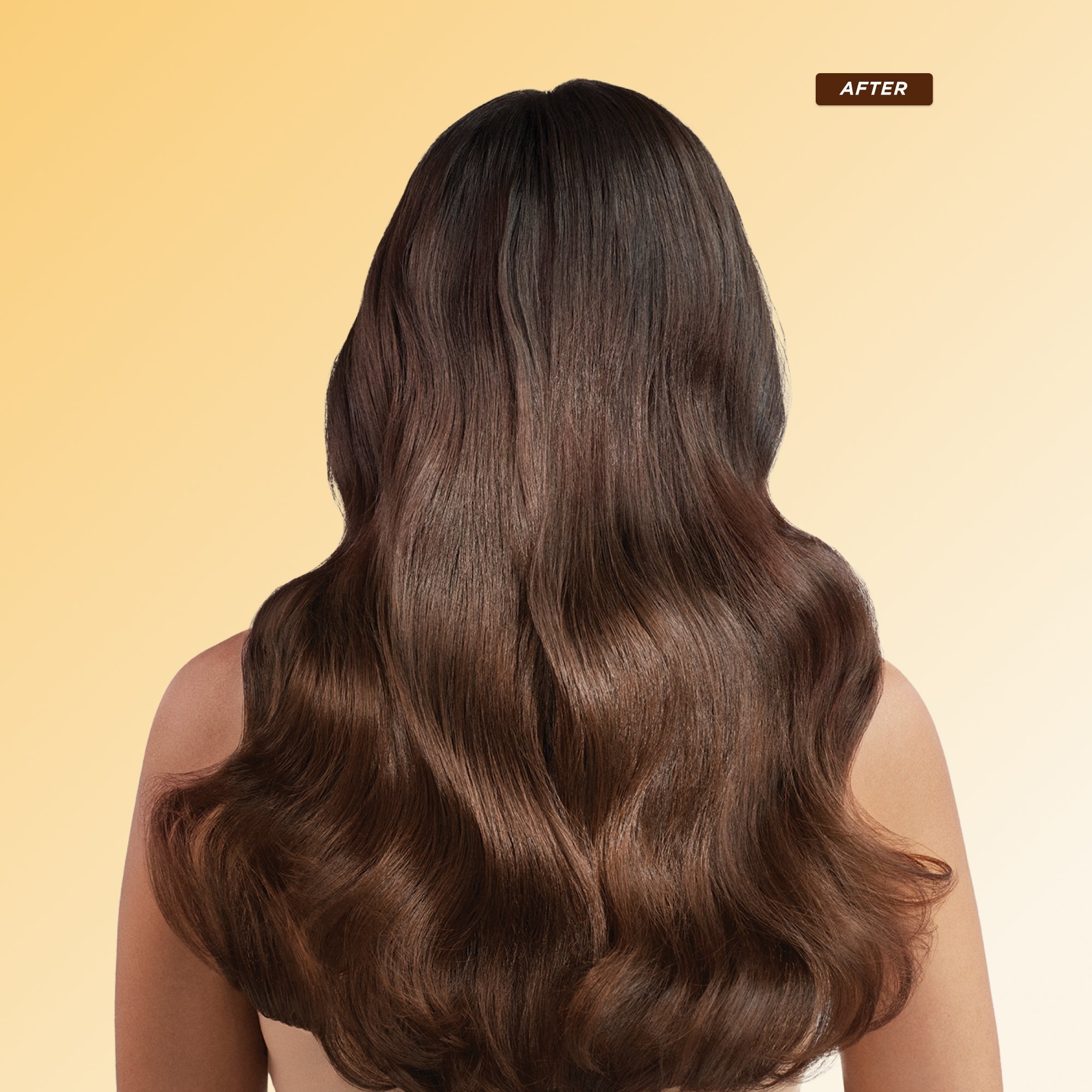 Honey Gloss Hydration Trio – Gisou EU