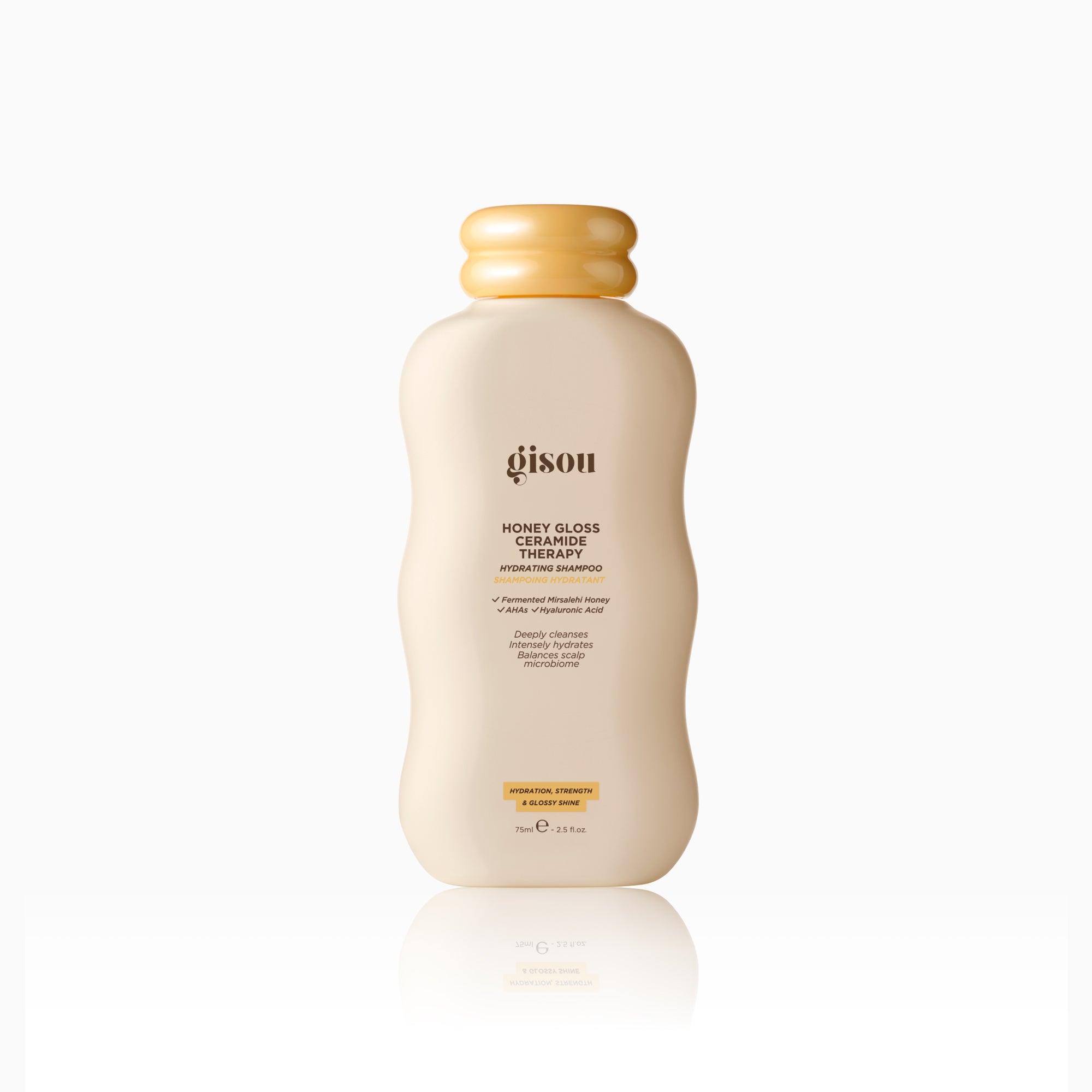 Gloss & Go Styling Kit – Gisou EU