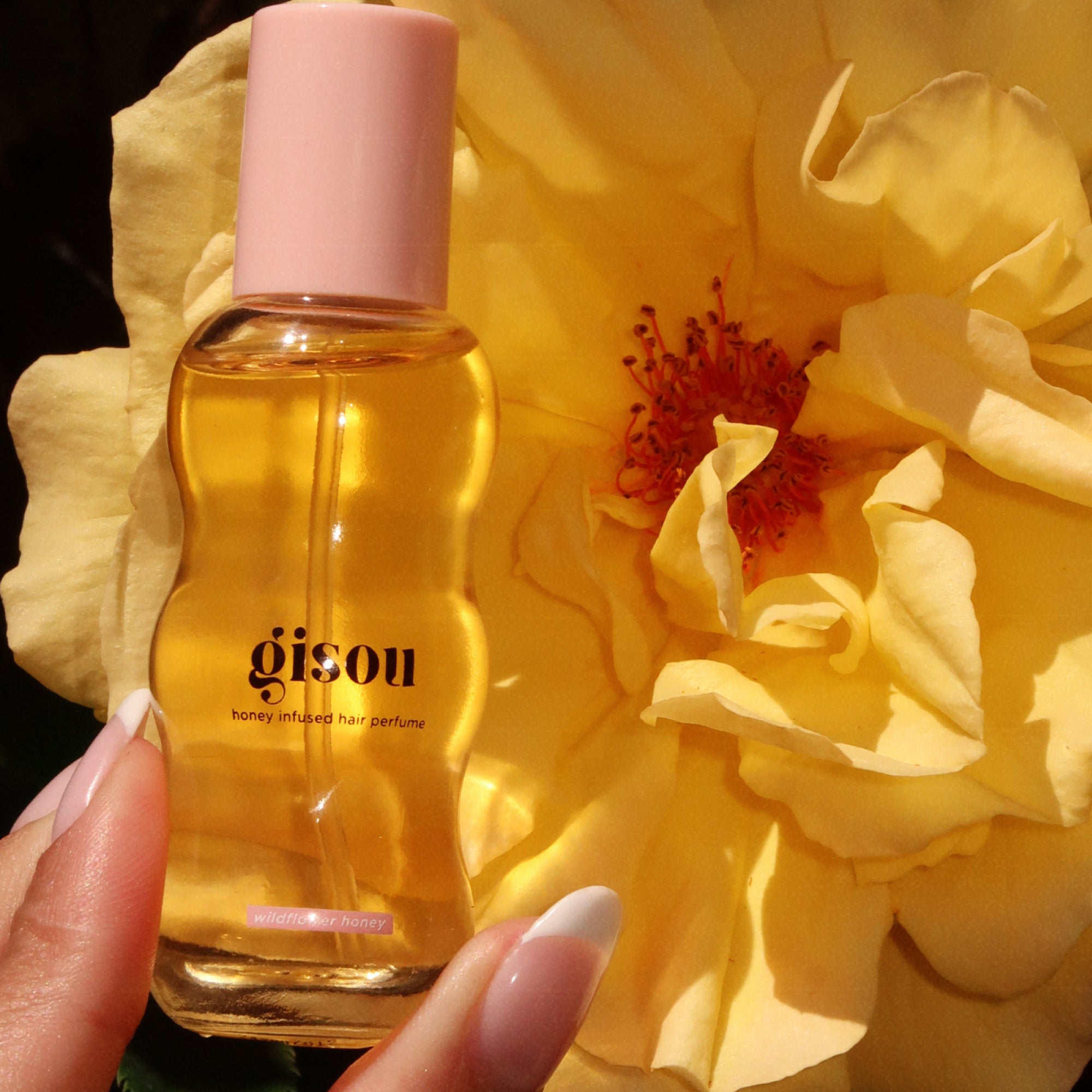 Honey Gloss On The Go – Gisou EU