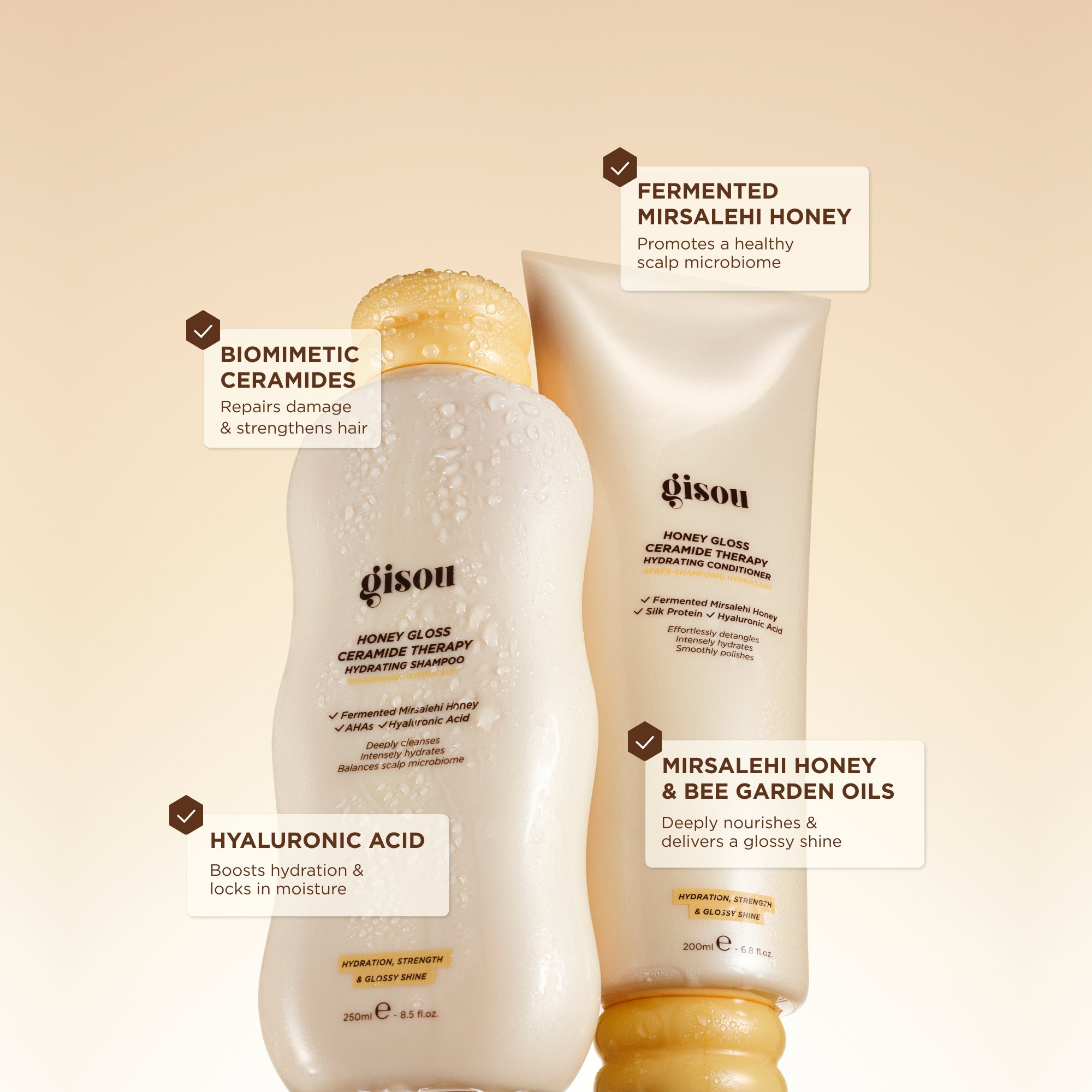 Honey Gloss Hair Routine – Gisou EU