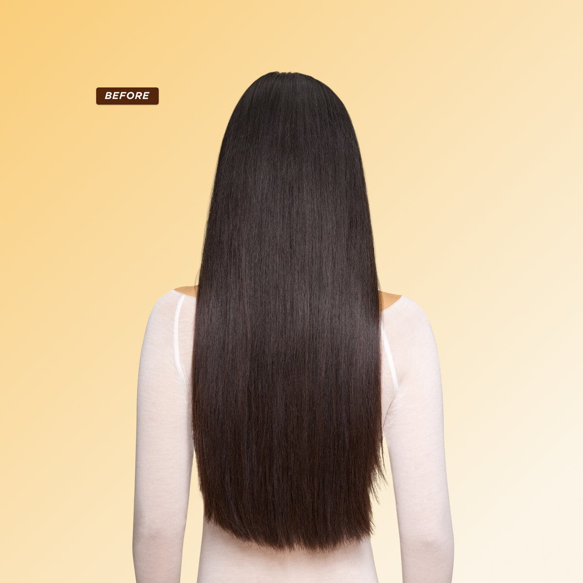 Before: Long straight dark hair with dullness and rough texture before using Gisou Honey Gloss Ceramide Therapy Hair Mask.