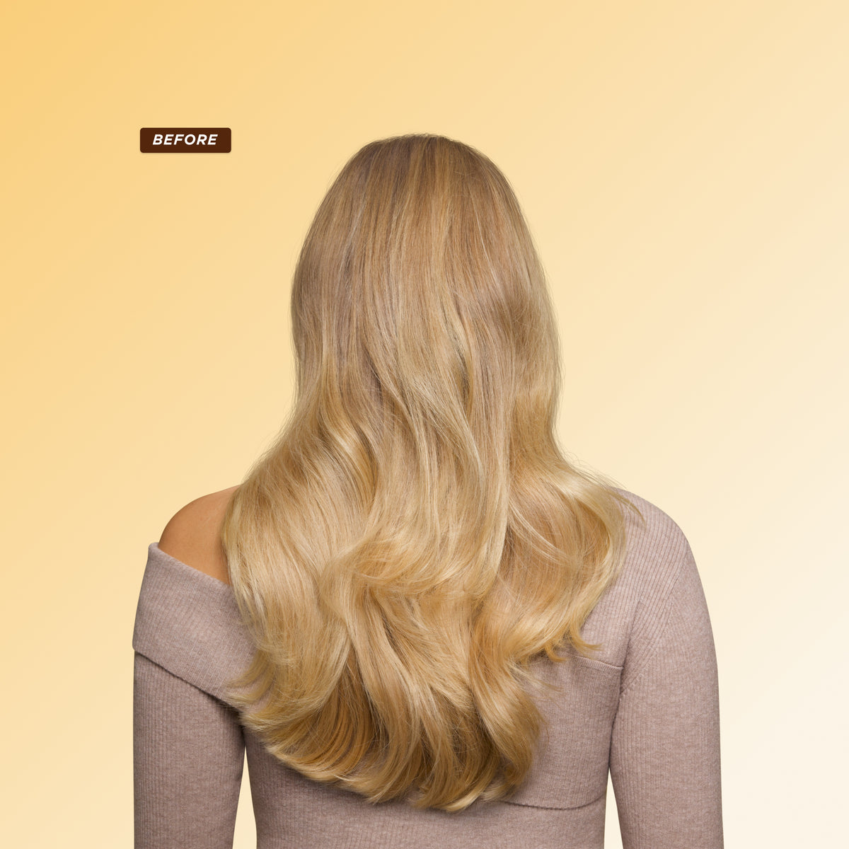 Before: Long blonde hair with dryness, frizz, and low shine before using Gisou Honey Gloss Ceramide Therapy Hair Mask.