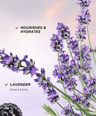 Lavender flowers displayed beside text emphasizing nourishing hydration and the floral‑earthy lavender note.