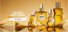 Honey Infused Lip Oil next to Hair Oil, Face Oil, and Body Oil
