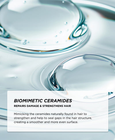 Ingredients - Ceramides