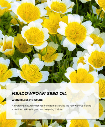Ingredients - Meadowfoam Oil