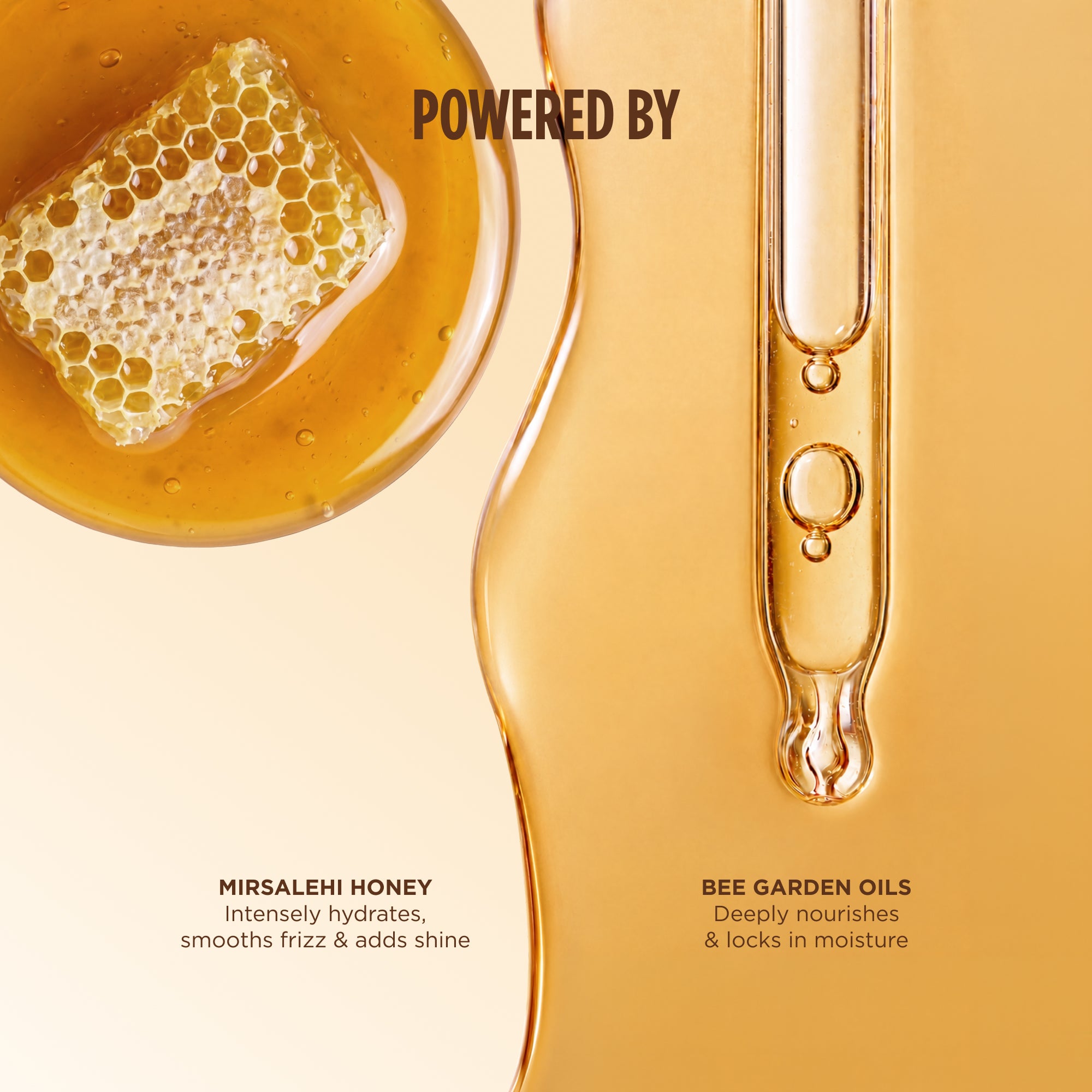 Honey Infused Hair Oil – Gisou EU
