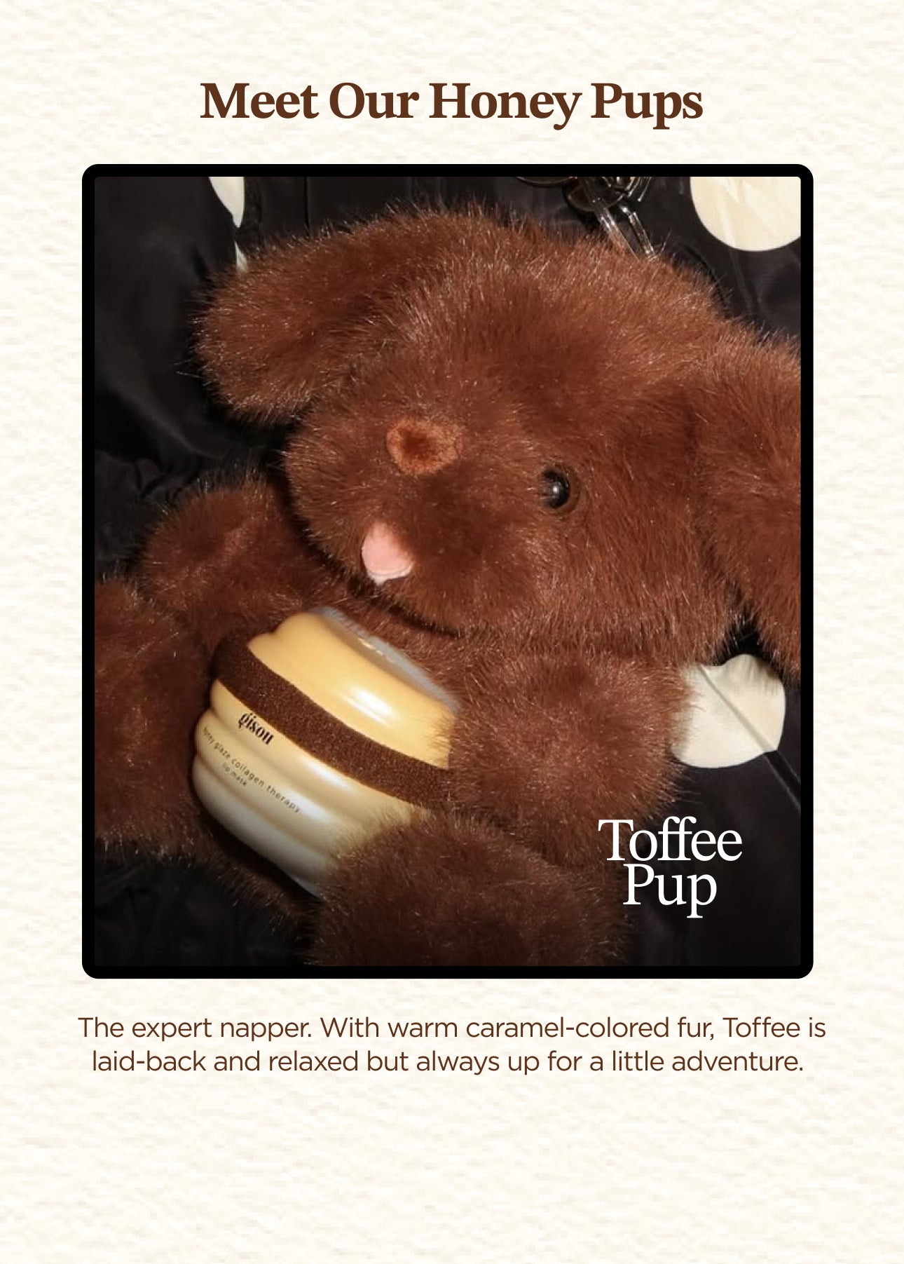 Honey Pup – Gisou EU