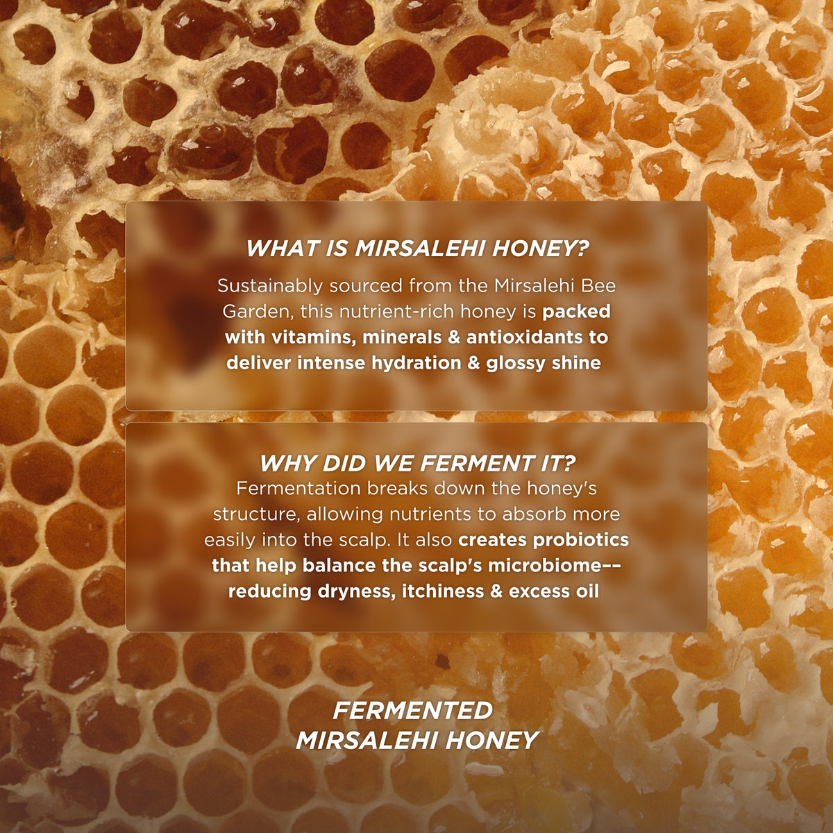 Close-up of honeycomb with text explaining fermented Mirsalehi honey, highlighting vitamins, antioxidants, hydration benefits, and scalp microbiome balance.