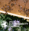 Gisou Sustainability Promise 2023 bee garden